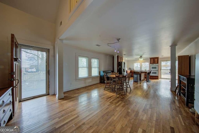 interior space featuring ceiling fan, a healthy amount of sunlight, and light hardwood / wood-style flooring