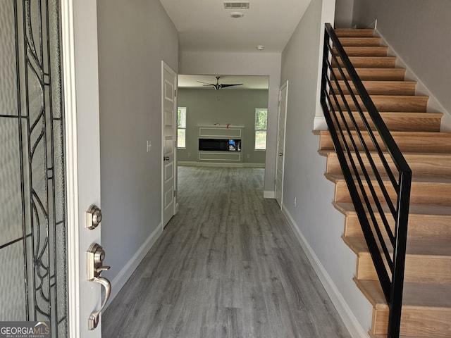 entryway with ceiling fan and hardwood / wood-style floors