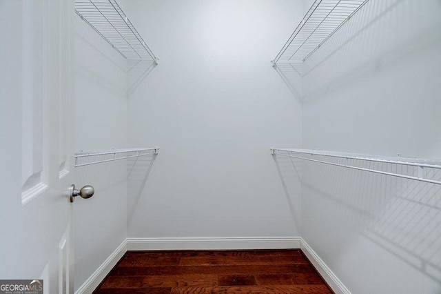 walk in closet featuring dark hardwood / wood-style floors