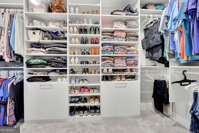 view of spacious closet