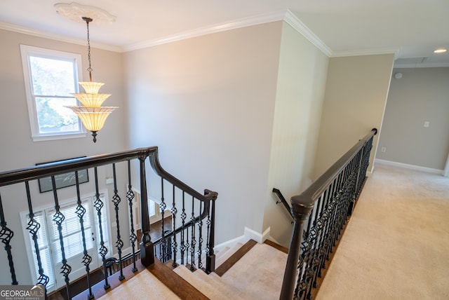 stairs with an inviting chandelier, carpet, and crown molding