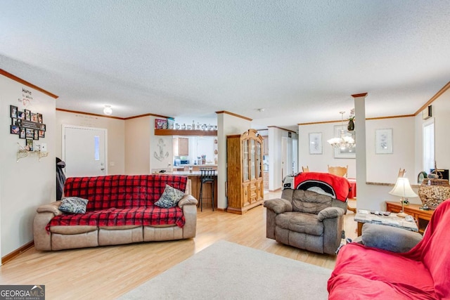 living room featuring a textured ceiling, an inviting chandelier, crown molding, and light hardwood / wood-style floors