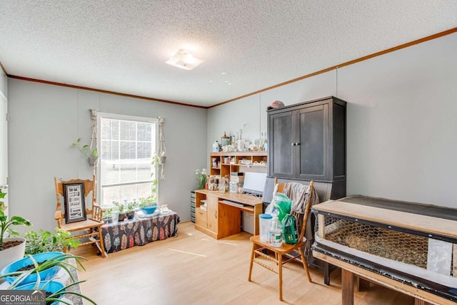 misc room with ornamental molding, a textured ceiling, and hardwood / wood-style flooring