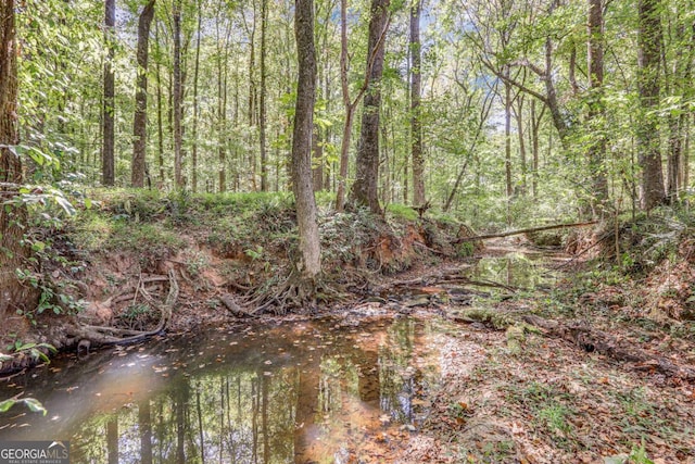 view of local wilderness