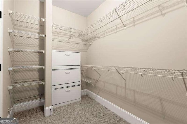 walk in closet with carpet flooring