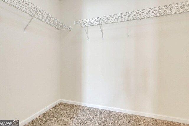 walk in closet featuring carpet flooring