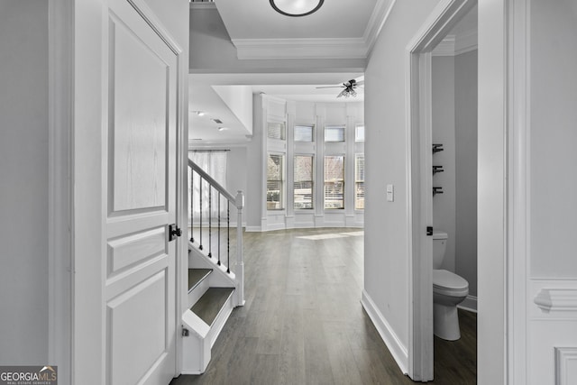 entrance foyer featuring ceiling fan, dark wood-type flooring, and ornamental molding