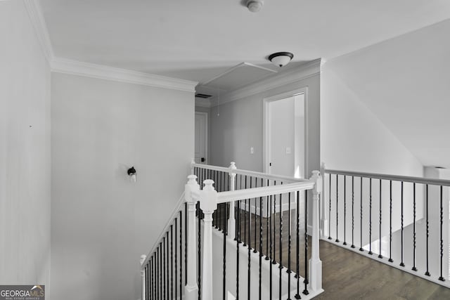 corridor with crown molding and dark hardwood / wood-style floors