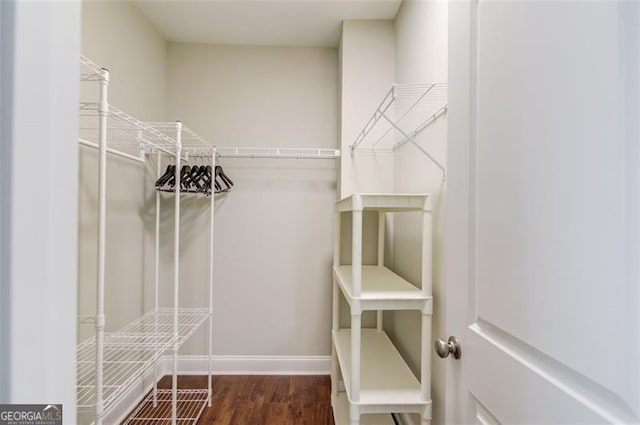 walk in closet featuring dark hardwood / wood-style flooring