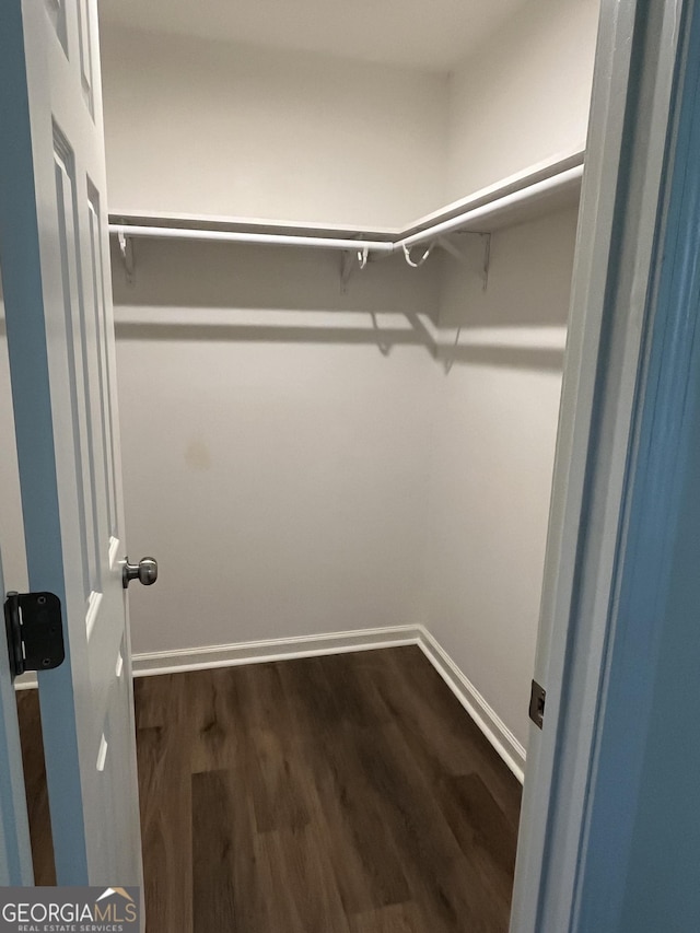 spacious closet with dark hardwood / wood-style floors