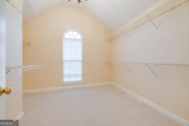 walk in closet featuring carpet flooring and vaulted ceiling