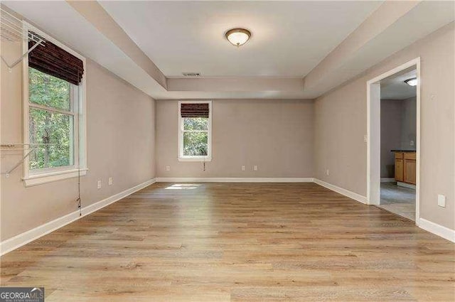 spare room with light wood-type flooring and a raised ceiling