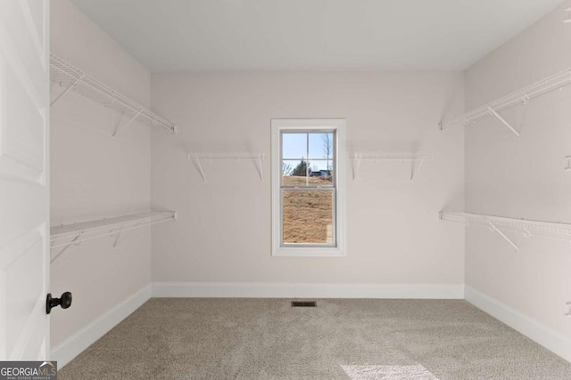 spacious closet with carpet