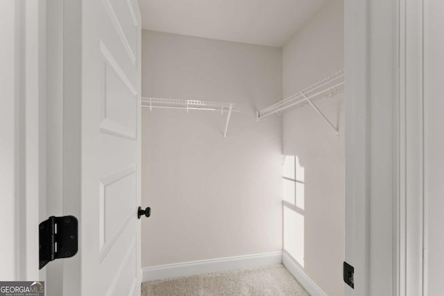 spacious closet with light carpet