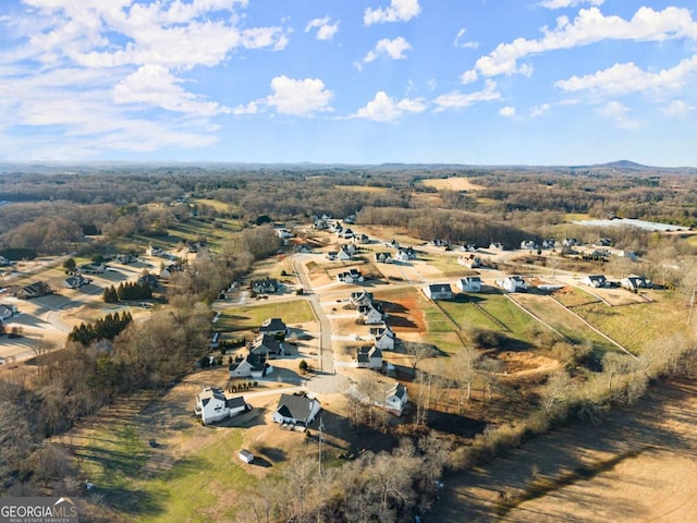 drone / aerial view