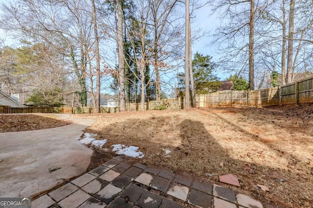 view of yard featuring a patio area