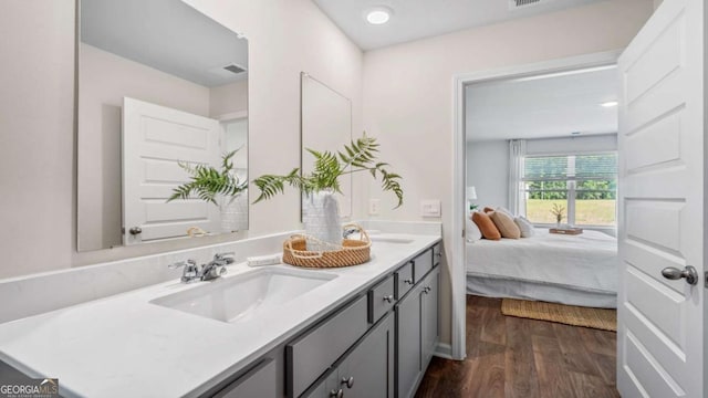 bathroom with wood-type flooring and vanity