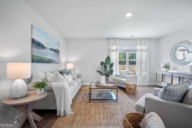 living room featuring wood-type flooring