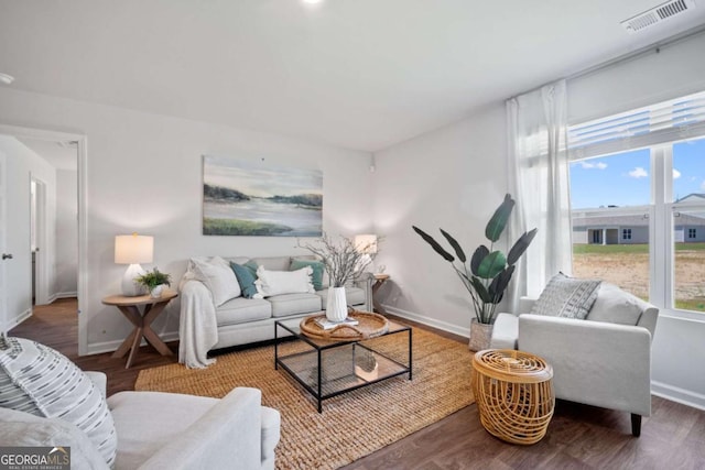 living room with wood-type flooring