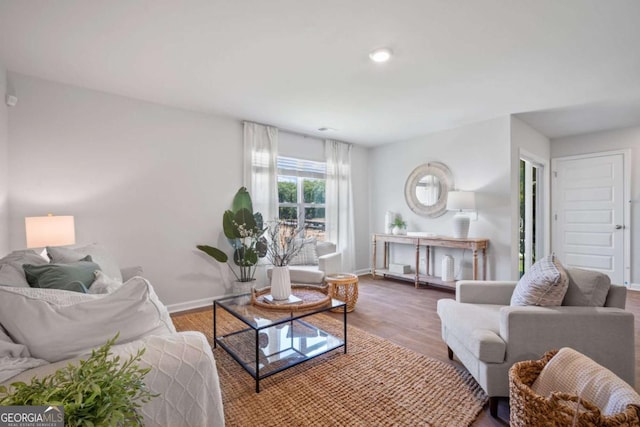 living room with hardwood / wood-style floors