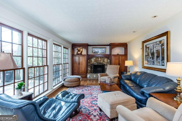 living room featuring wood-type flooring and a stone fireplace