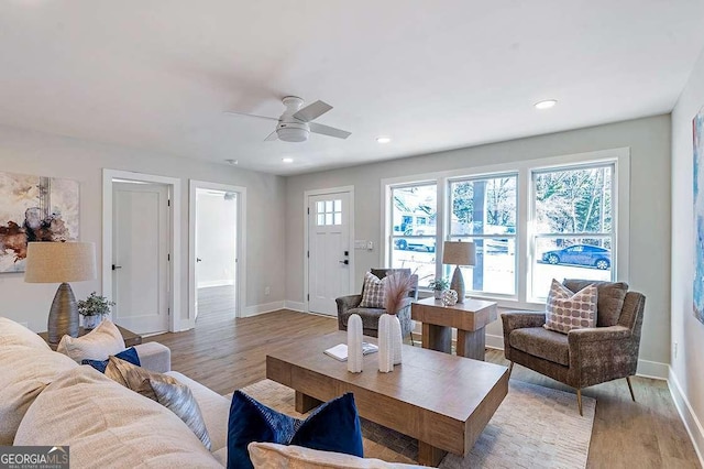 living room with ceiling fan and light hardwood / wood-style floors