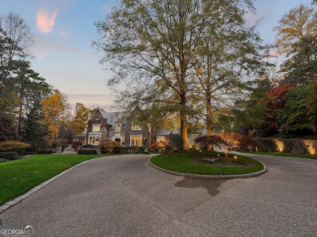 view of front of property featuring a yard