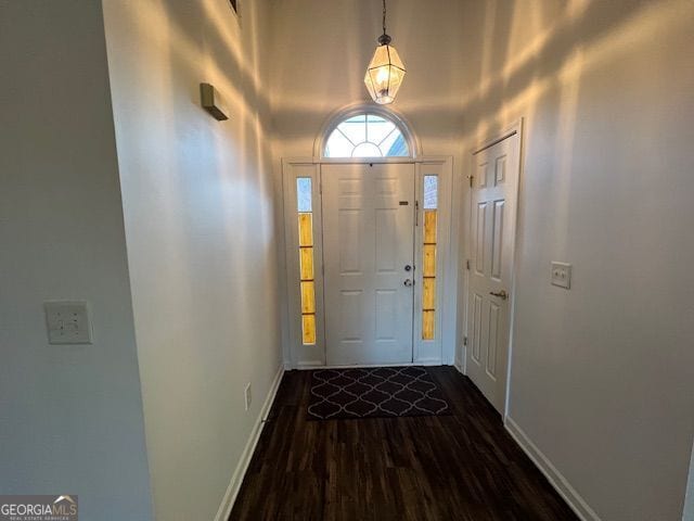 doorway to outside with dark hardwood / wood-style floors