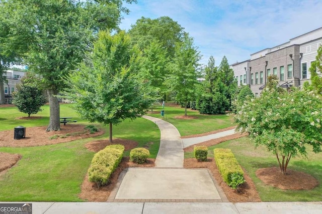 view of community with a yard