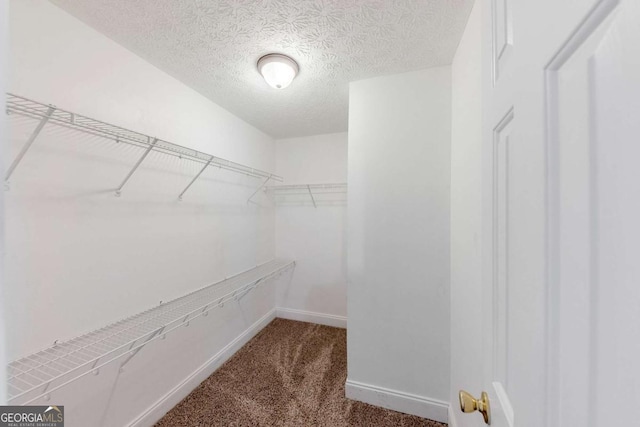 spacious closet featuring carpet flooring