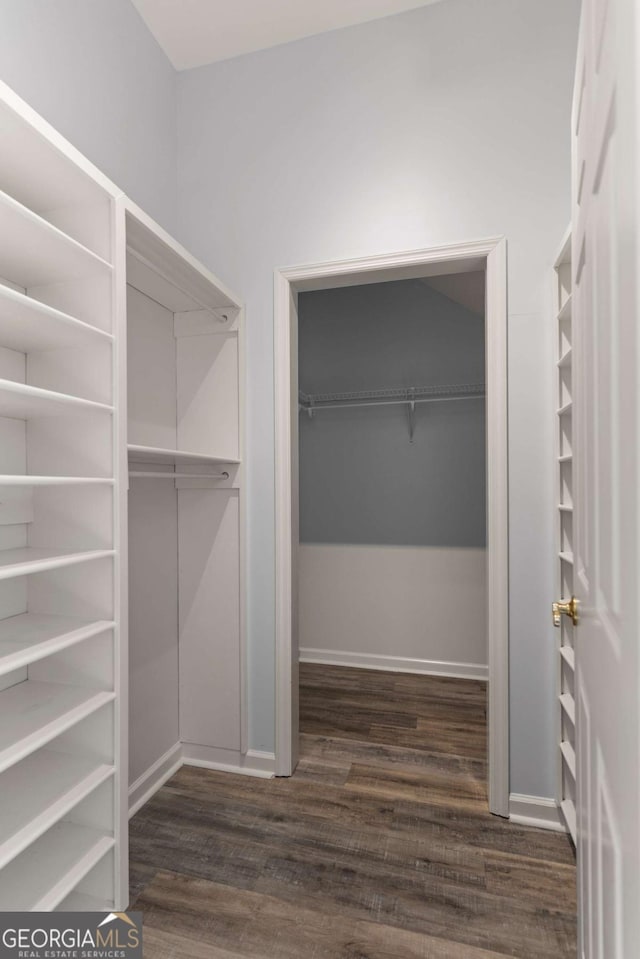 walk in closet with dark hardwood / wood-style floors