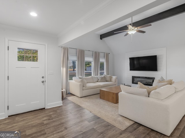 living room featuring ceiling fan, plenty of natural light, a large fireplace, and hardwood / wood-style floors