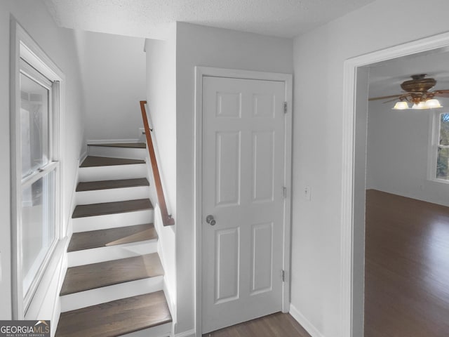 stairs with ceiling fan, a textured ceiling, and hardwood / wood-style floors