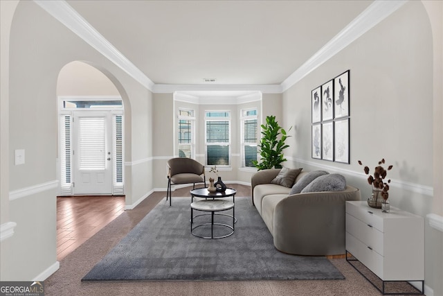 spare room with crown molding and carpet flooring