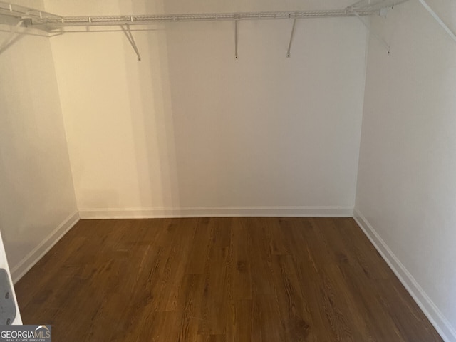 spacious closet with dark wood-type flooring