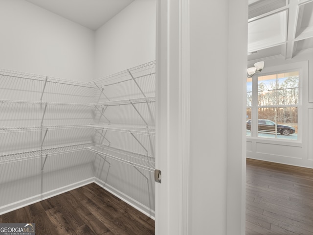 42 Parkview Dr, Dallas, GA 30157 - walk in closet with dark hardwood / wood-style floors