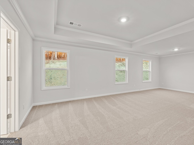 42 Parkview Dr, Dallas, GA 30157 - spare room featuring ornamental molding, light colored carpet, and a tray ceiling
