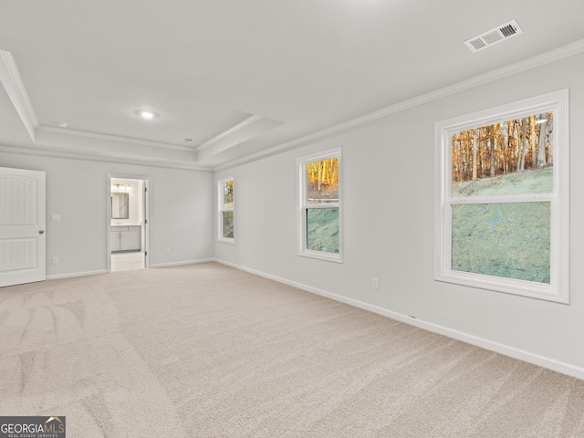 42 Parkview Dr, Dallas, GA 30157 - unfurnished room featuring a raised ceiling, light colored carpet, and crown molding