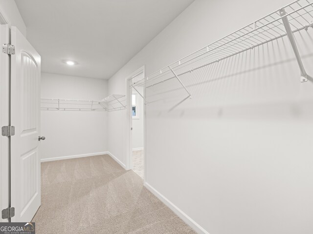 42 Parkview Dr, Dallas, GA 30157 - walk in closet featuring light carpet
