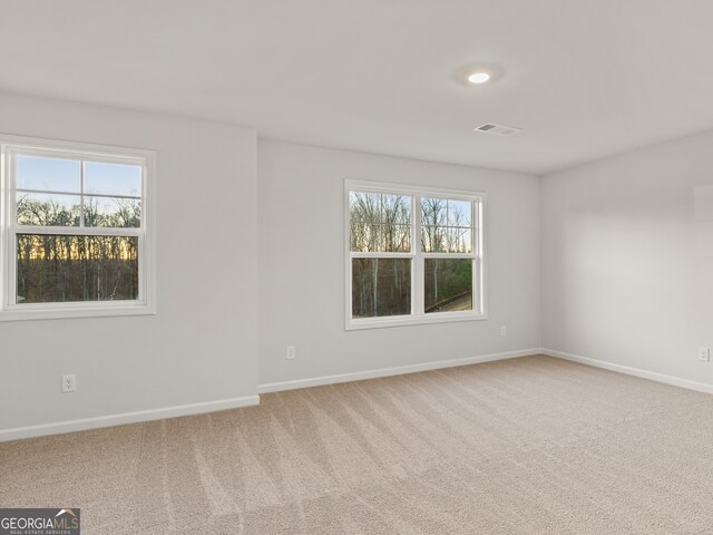 42 Parkview Dr, Dallas, GA 30157 - spare room with a healthy amount of sunlight and carpet floors