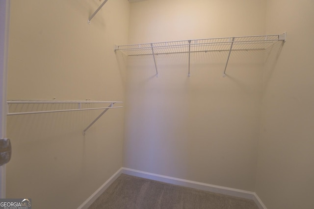 spacious closet featuring carpet