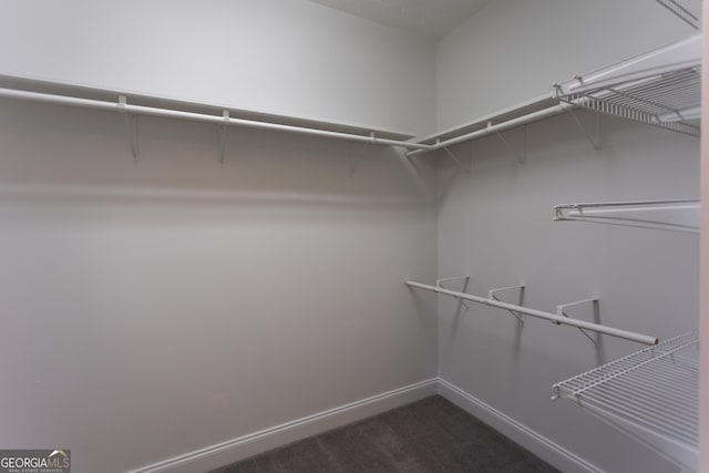 spacious closet featuring dark colored carpet