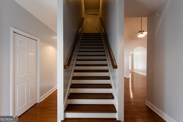 staircase featuring ceiling fan and wood-type flooring