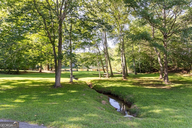 view of property's community with a lawn