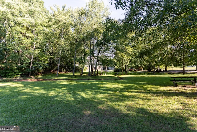 view of community featuring a yard