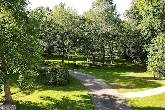 view of community with a yard