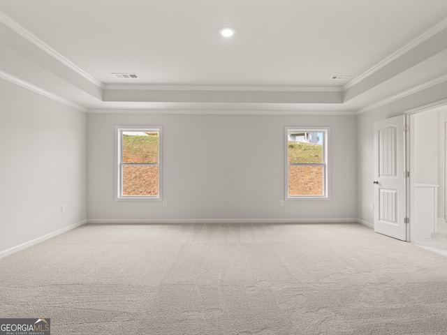 carpeted spare room featuring a tray ceiling, ornamental molding, and a healthy amount of sunlight