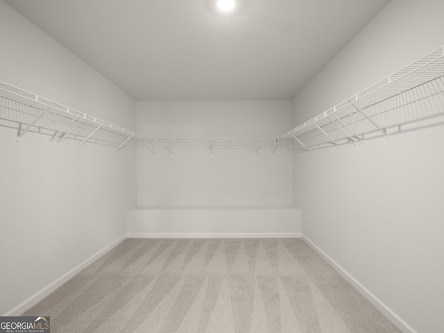 walk in closet featuring carpet flooring