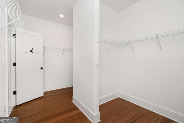 spacious closet with dark hardwood / wood-style floors