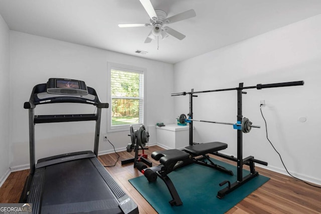 workout room featuring ceiling fan and hardwood / wood-style floors